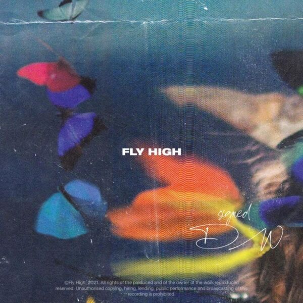 Cover art for Fly High